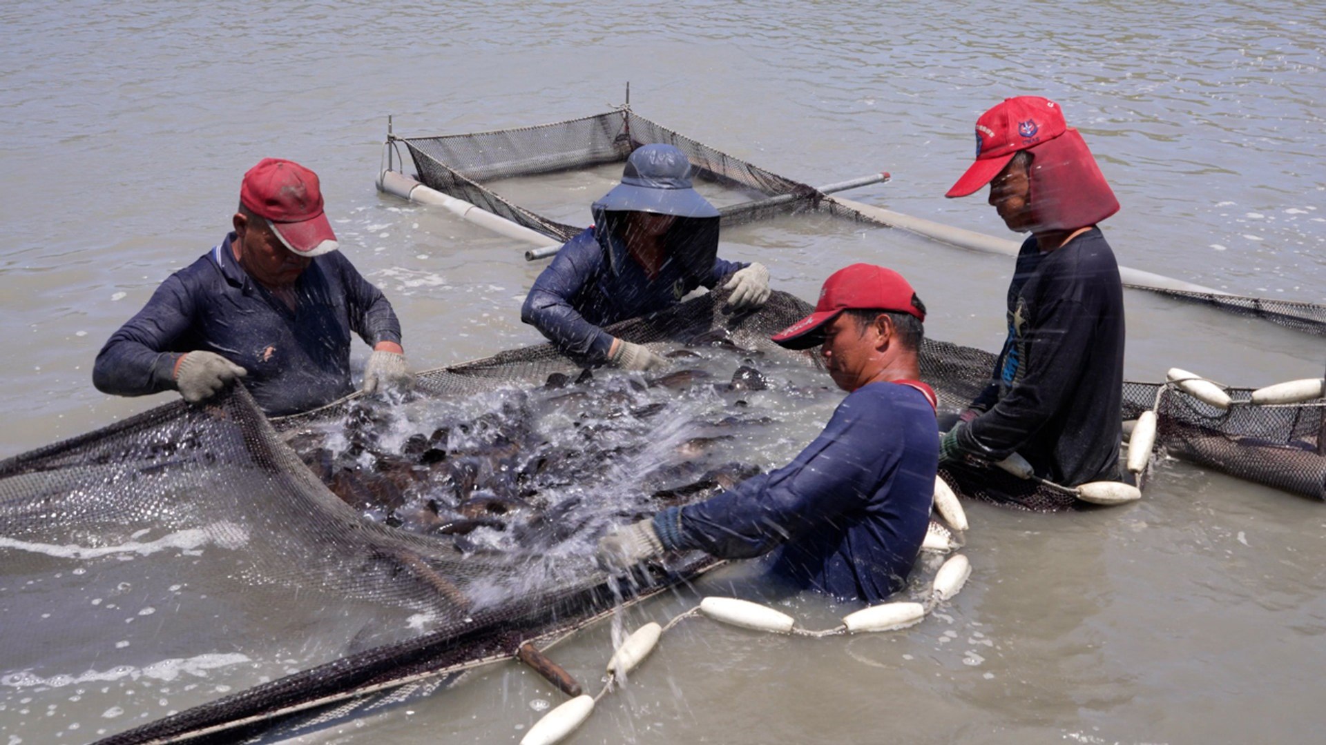 Politics of Food: Taiwan and China - TaiwanPlus News