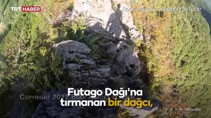 Dağda ayıyla karşılaştı, kavgayla hayatta kaldı