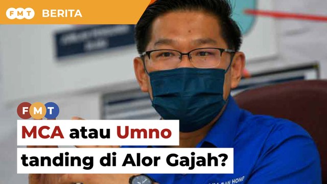 Biar BN tentukan MCA atau Umno tanding di Alor Gajah