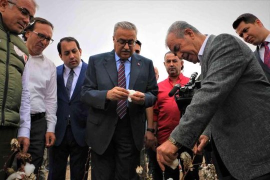 Diyarbakır ekonomi haberleri | Diyarbakır'da 'Beyaz Altın' hasadı başladı, Vali Su ilk hasadı yaptı