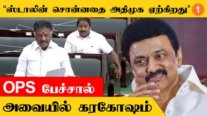 OPS | "இந்தி திணிப்புக்கு எதிராக கொண்டுவந்த தீர்மானத்தை முழுமனதாக ஏற்கிறோம்"