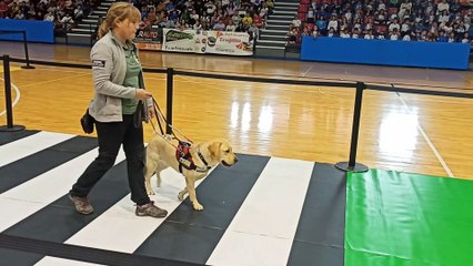 Día Internacional del Bastón Blanco