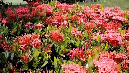 A quiet and peaceful day in the countryside