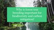 Why is forest tree breeding important for biodiversity and carbon mitigation?