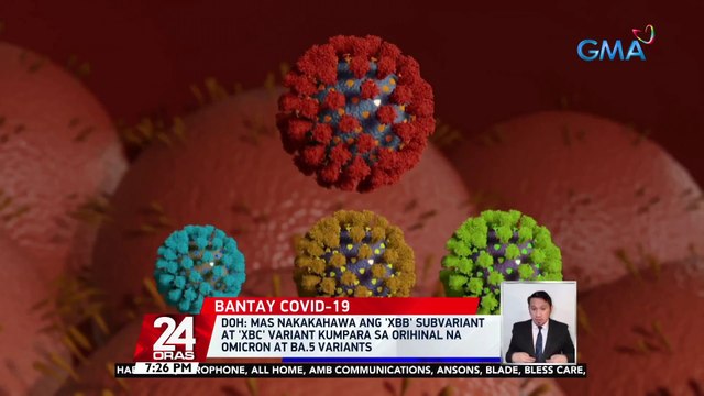 DOH: 81 kaso ng Omicron subvariant na XBB at 176 na kaso ng XBC variant, naitala sa bansa | 24 Oras