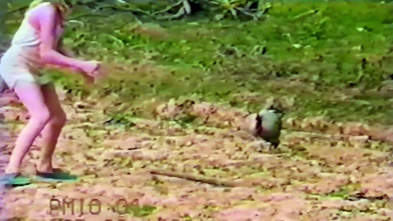 Senjata Makan Tuan!