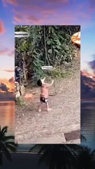 Meme & Komedi Hits of 2022 🎉