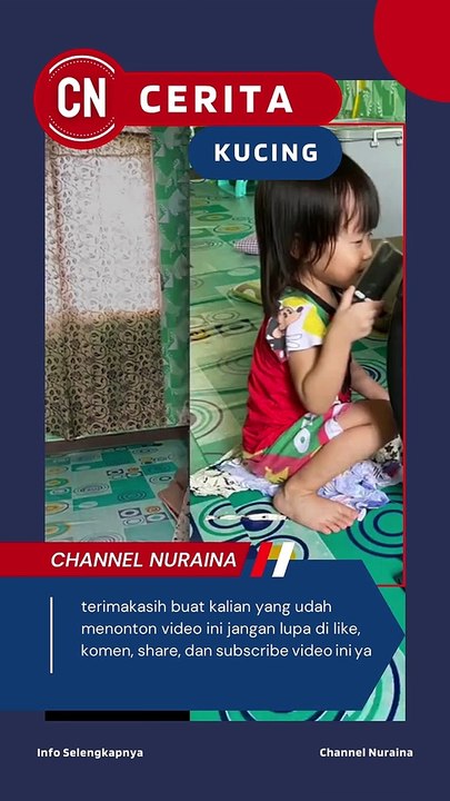 kucing lucu