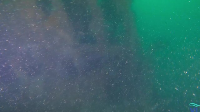 Des polluants découverts 80 ans après sur une épave de la Seconde Guerre mondiale en mer du Nord