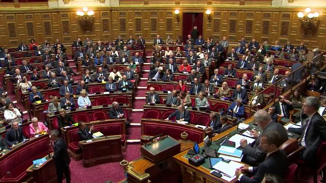 Loi sécurité : le Sénat adopte le texte en renforçant son volet répressif