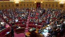 Loi sécurité : le Sénat adopte le texte en renforçant son volet répressif