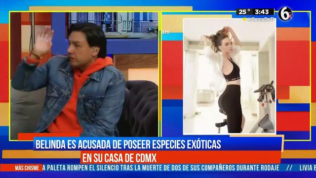 Belinda es acusada de poseer especies exóticas en su casa