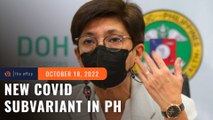 Philippines detects first cases of COVID-19 XBB subvariant