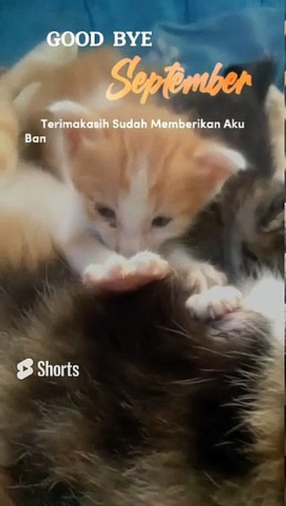 Good Bye September