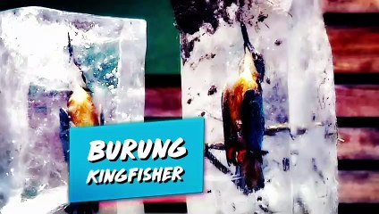 Inilah 8 Penemuan di Es yang Lebih Berharga Daripada Harta Karun yang Nilainya Susah Diukur!