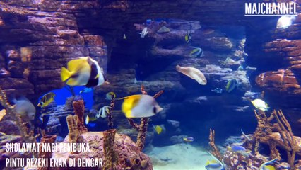 Sholawat Nabi Pembuka Pintu Rezeki