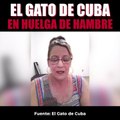 El gato de Cuba en huelga de hambre.