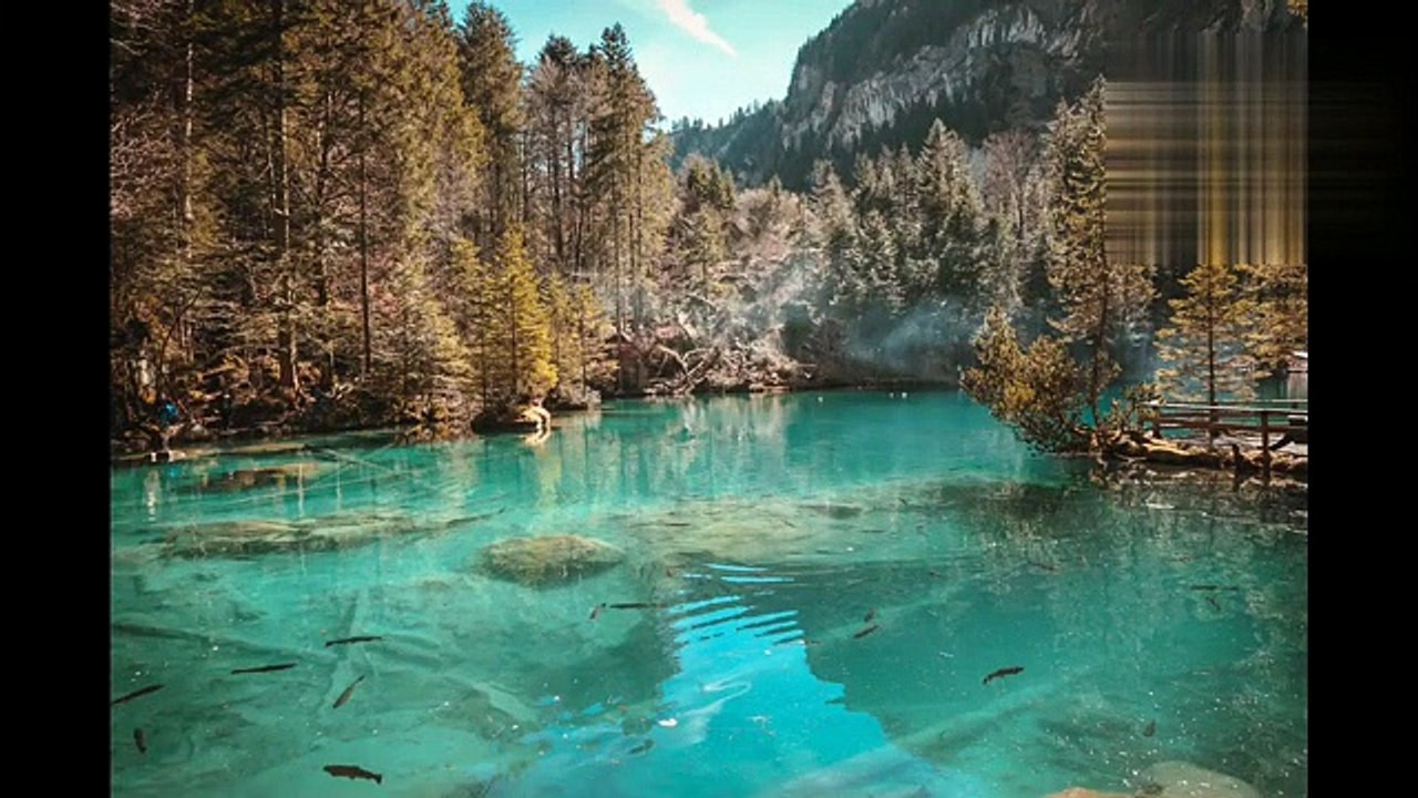 Guided RAIN FOREST  Meditation I Sleep Yoga Meditation I Relaxation Music I Relaxing Meditation I Guided Sleep Meditation I Guided Yoga Meditation