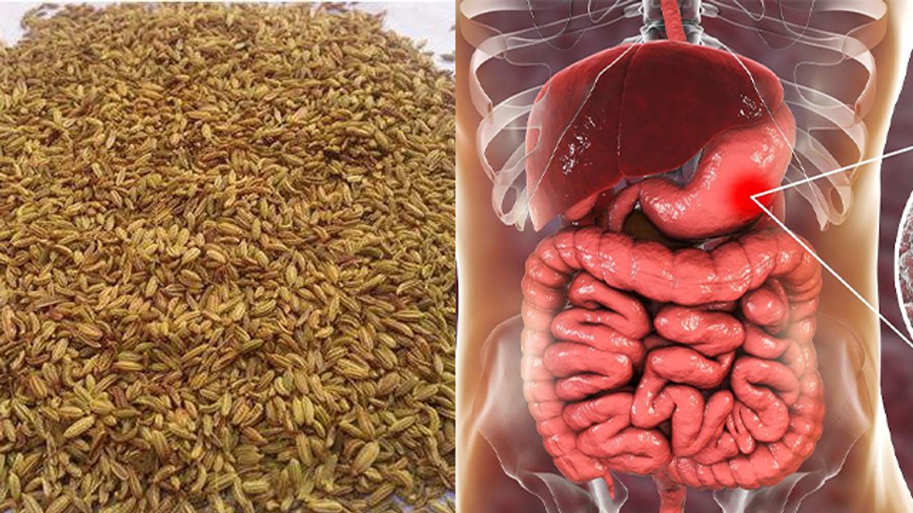 खाना खाने के बाद भुनी सौंफ खानी चाहिए या नहीं ? खाना खाने के बाद भुनी सौंफ खाने के फायदे *Health