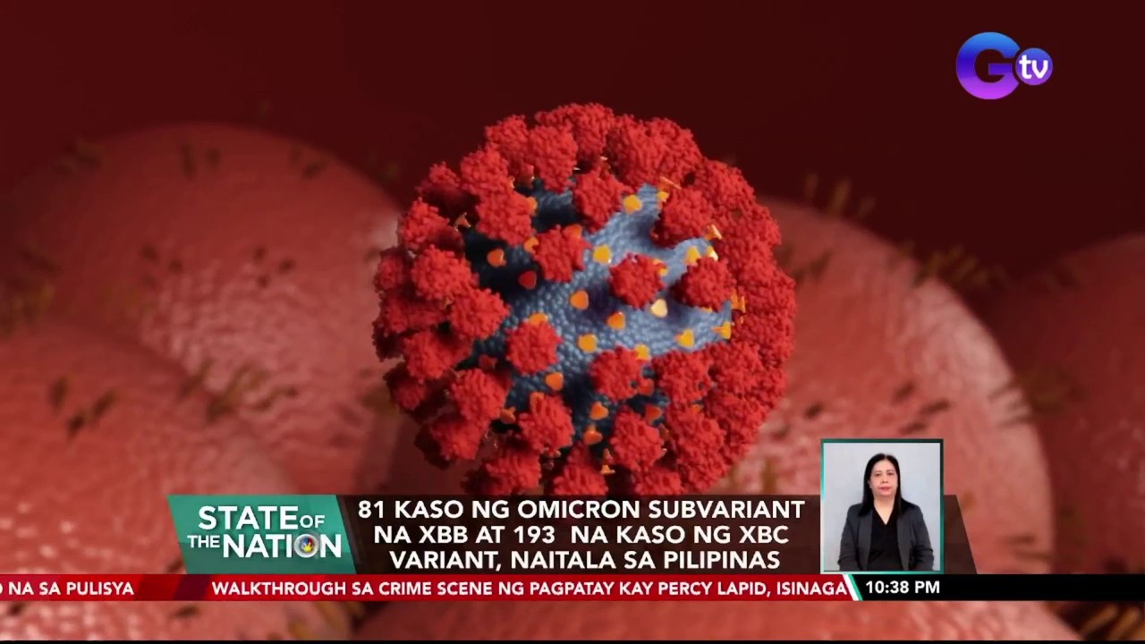 81 kaso ng Omicron Subvariant na XBB at 193 na kaso ng XBC Variant, naitala sa Pilipinas | SONA
