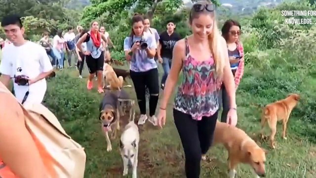 दुनिया के सबसे खतरनाक कुत्ते most dangerous dog in the world SOMETHING FOR KNOWLEDGE