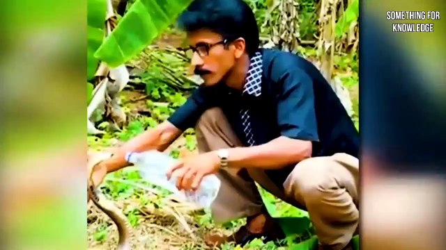 Animals That Asked People For Help And Kindness! Best animal rescues caught on camera. #animals