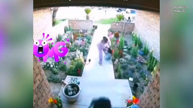 5 Weird Things Caught On Doorbell Cameras caught on camera something For Knowledge #CCTV