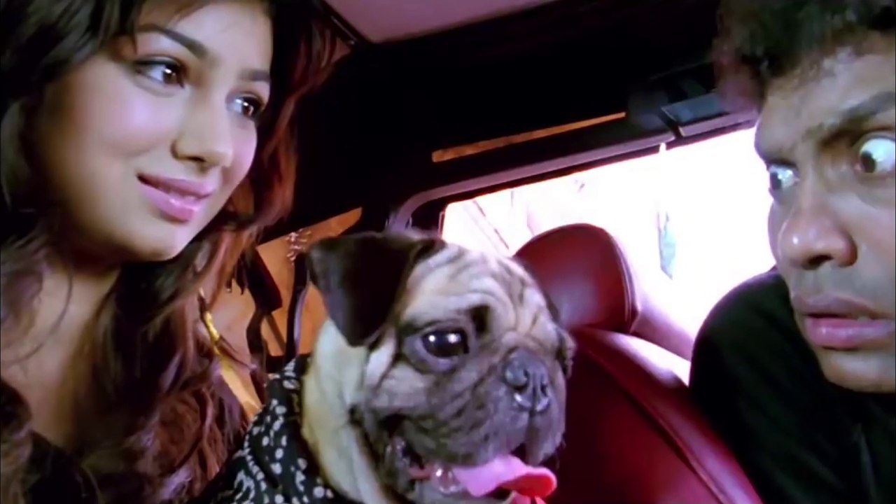 Johny Lever, Paresh Rawal, Shahid Kapoor & Ayesha Takia Comedy Scene