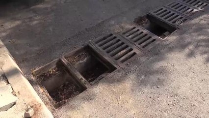 Çalınan mazgallar, yenilendikten sonra tekrar çalındı