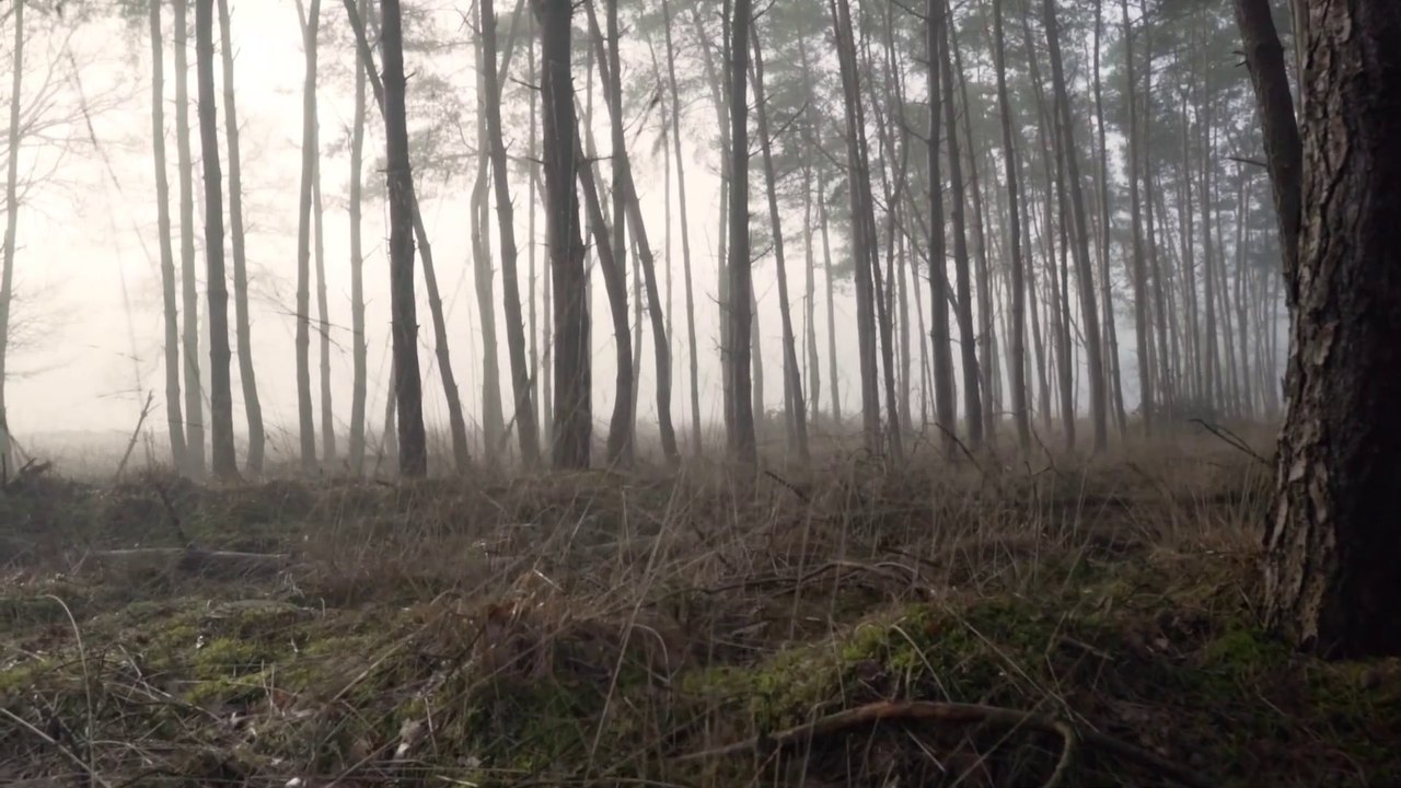 Cinematic video