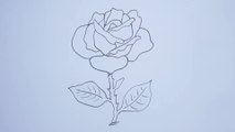 كيفية رسم وردة  بطريقة سهلة