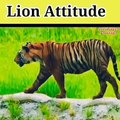 Lion vs tiger   tiger vs lion   lion attack on tiger   #lionvs #tigervs #shorts #animals #fight