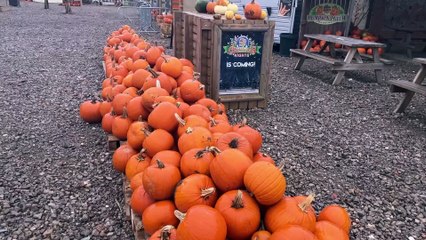 Are the Christmas steps haunted?