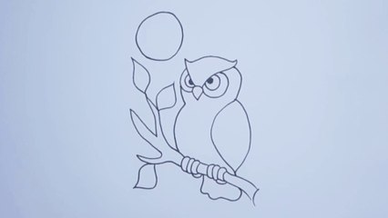 كيفية رسم بومة  بطريقة سهلة