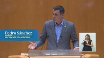 Pedro Sánchez apela al 