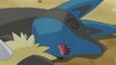 Ash's Charizard VS Cameron I Pokémon_ BW Adventures in Unova||pokemon journeys/pokemon