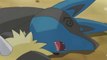 Ash's Charizard VS Cameron I Pokémon_ BW Adventures in Unova||pokemon journeys/pokemon