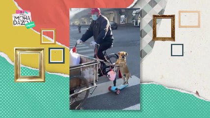 ¡Perrito bicicletero! - Almohadazo Casero