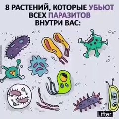 Download Video: Полезно знать: народная медицина