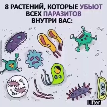 Полезно знать: народная медицина