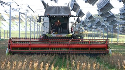 French farmers experiment with solar panels and farming