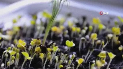 Bakan Özer, tarım liselerinin dünyadaki en iyi modellerini görmek için Hollanda'ya gidecek