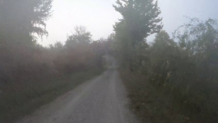 Wien am Rad: Marchfeldkanal im Morgennebel (1)