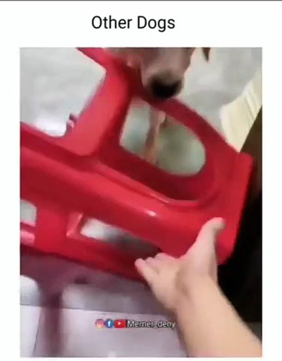 Funny5