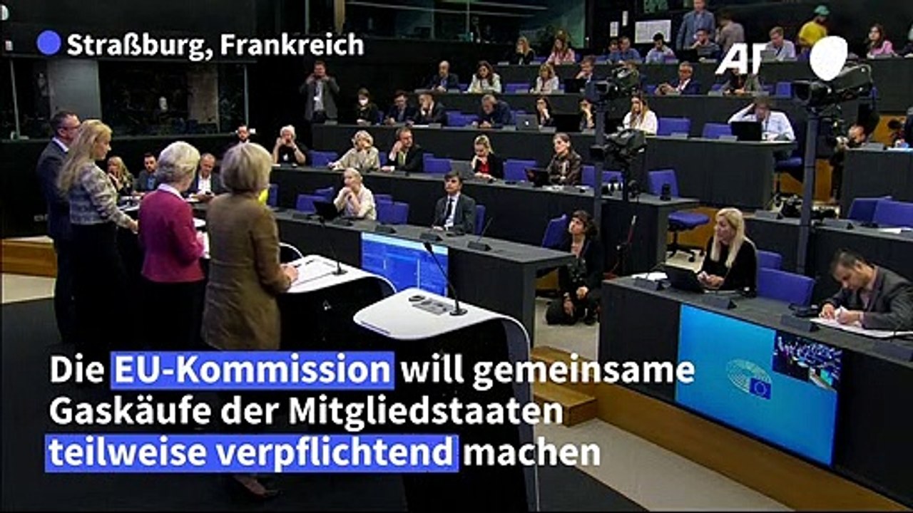 Gemeinsame Gaskäufe der EU-Länder sollen teils Pflicht werden