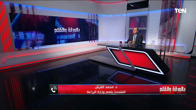 خطط الدولة لحل أزمة الاعلاف المتسببة في غلاء أسعار الدواجن والبيض يكشفها المتحدث باسم وزارة الزراعة