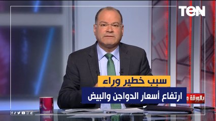 سبب خطير وراء ارتفاع أسعار الدواجن والبيض يكشفه ‏رئيس شعبة الدواجن بغرفة القاهرة التجارية