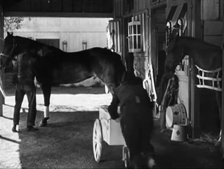 Un Jour aux courses Bande-annonce (EN)