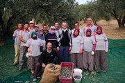 Balıkesir yerel: Ayvalık Belediyesi'ne ait zeytinliklerde ilk hasat Başkan Ergin'den