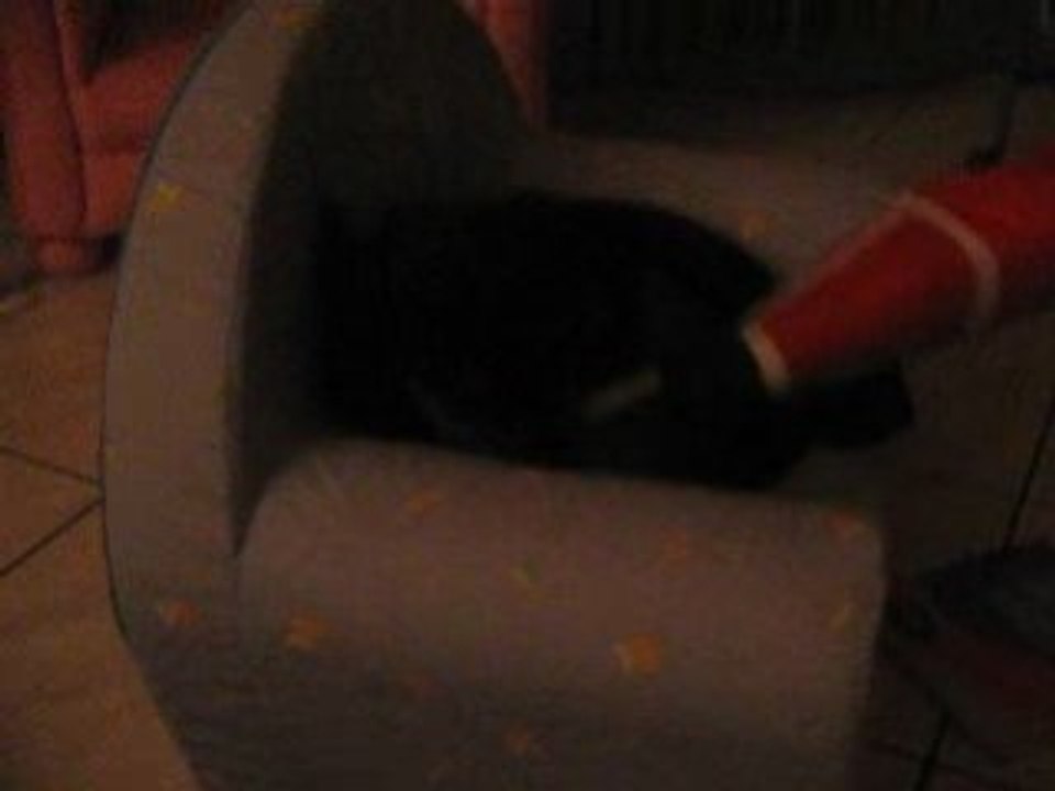 Cléopâtre et les pere noel